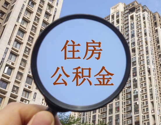 云梦退休后查不到公积金明细了吗（退休后公积金查询不到原因）